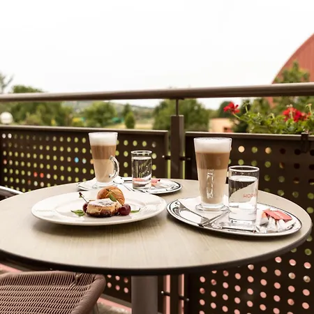 Vulkan Wellness & Hotel 4*