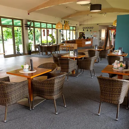 Vulkan Wellness & 4*