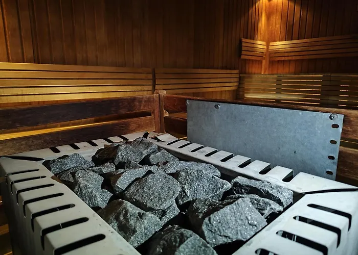 Vulkan Wellness & Hotell 4*